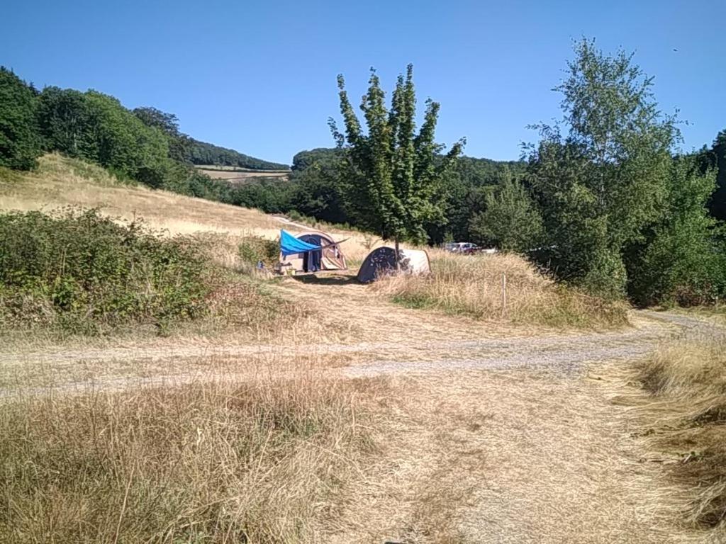 Camping La Foret Du Morvan Larochemillay Kültér fotó